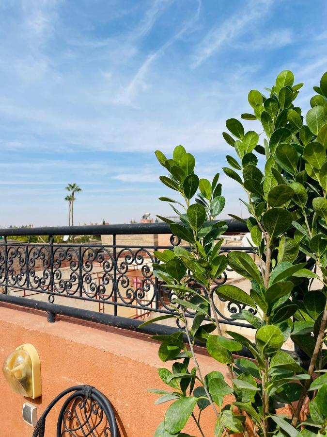 Riad Ms Holidays Terrasse Privatise Marrakech 马拉喀什 外观 照片