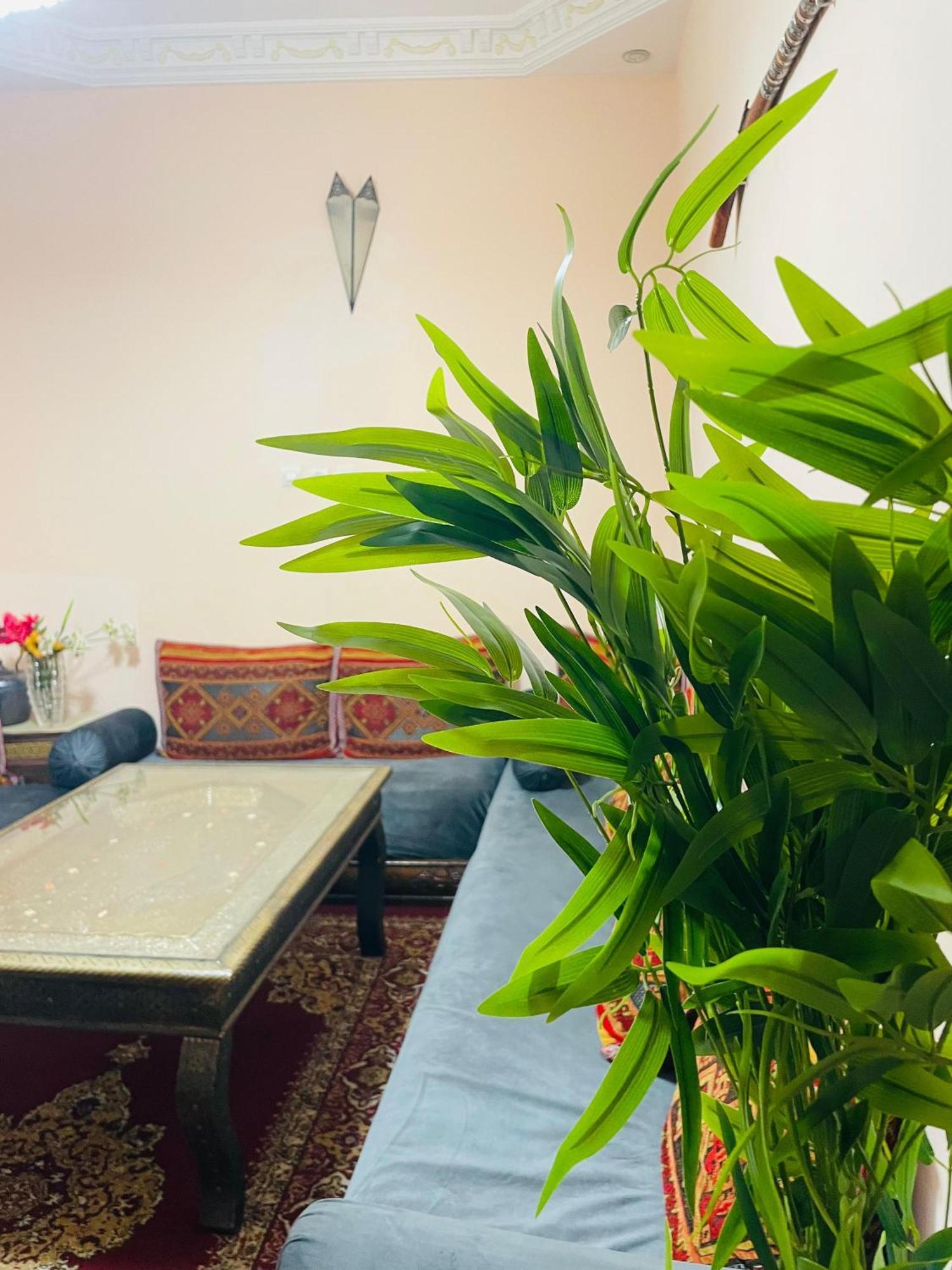 Riad Ms Holidays Terrasse Privatise Marrakech 马拉喀什 外观 照片